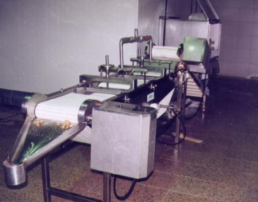 LINEA ALIMENTACION  TUNEL CONTINUO