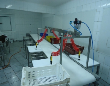 MAQUINAS PARA PROCESAR JIBIA