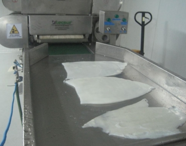 MAQUINAS PARA PROCESAR JIBIA